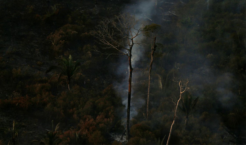 Amazônia: Operação Verde Brasil aplicou quase R$ 100 milhões em multas