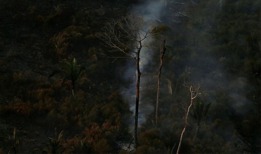 Amazônia: Operação Verde Brasil aplicou quase R$ 100 milhões em multas
