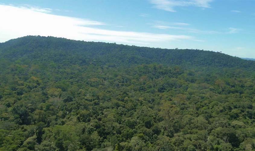 SFB assina concessão para restaurar Flona do Bom Futuro