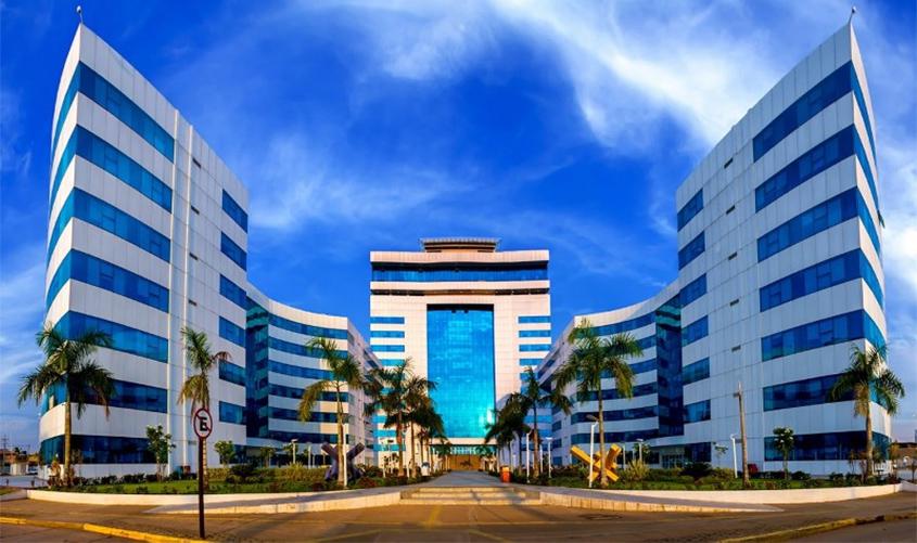 Agropecuária representa a maior fatia do Produto Interno Bruto de Rondônia