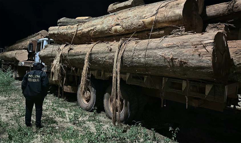 Polícia Federal apreende caminhões carregados de madeira retirada de terras indígenas em RO
