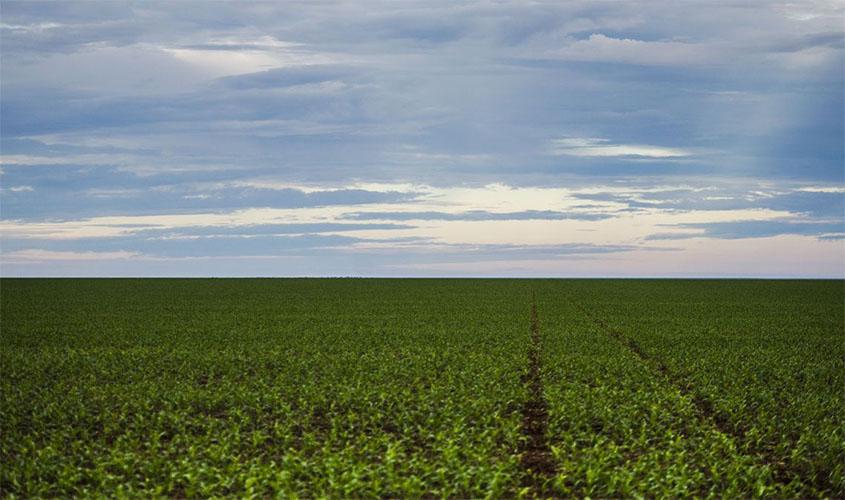 Entenda o que muda com a MP da regularização fundiária