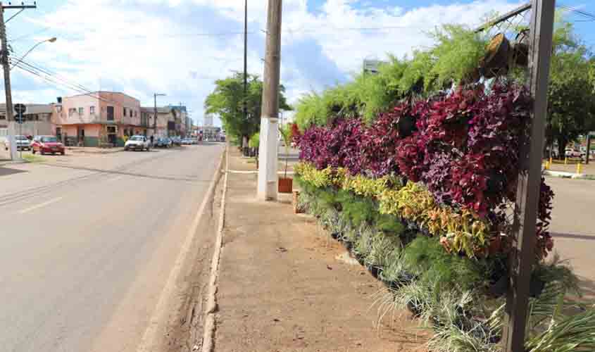 Semi instala painéis com jardim vertical e vasos na avenida Nações Unidas