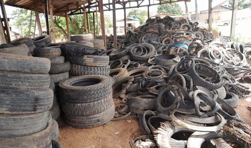 Agevisa reforça medidas de prevenção à dengue e alerta para eliminação de criadouros do mosquito