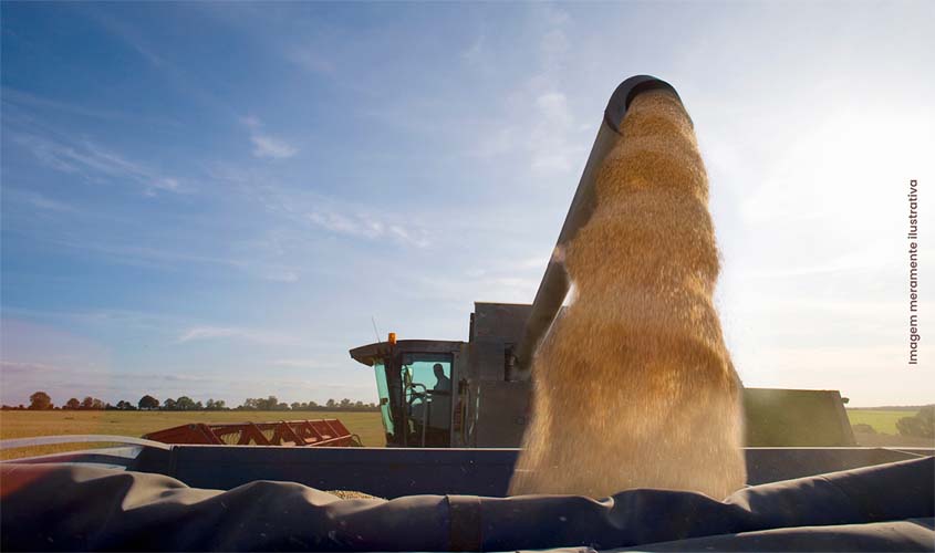 Município se destaca na produção de soja no Jamari