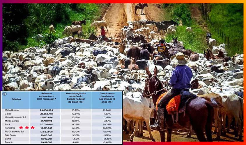 Livre da aftosa, sem vacinação: nossa carne vai dar um salto no mercado mundial