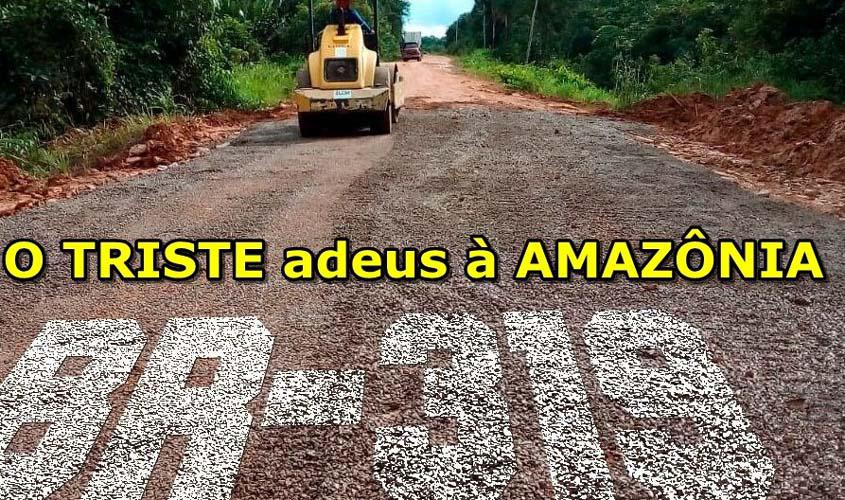 O mundo é contra a BR-319