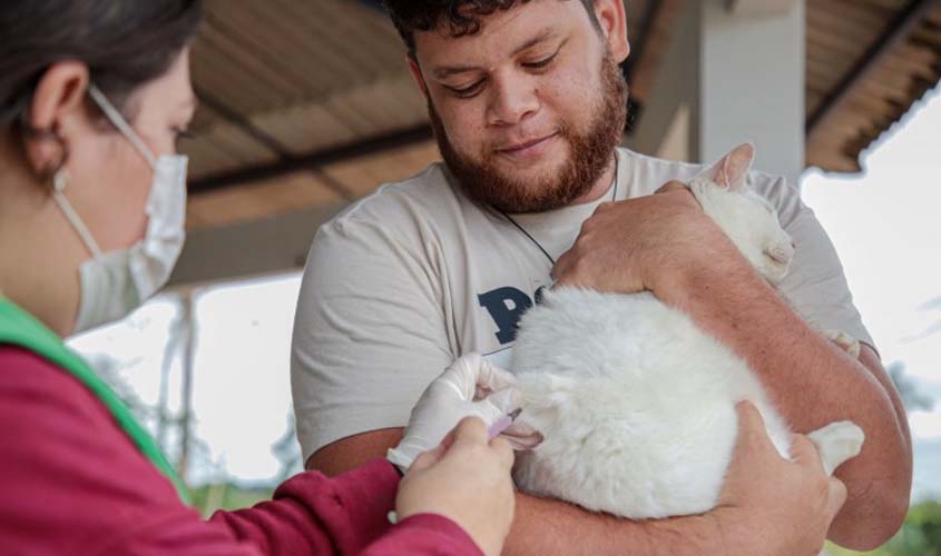 Mais 42 mil cães e gatos foram vacinados contra a raiva em 2023
