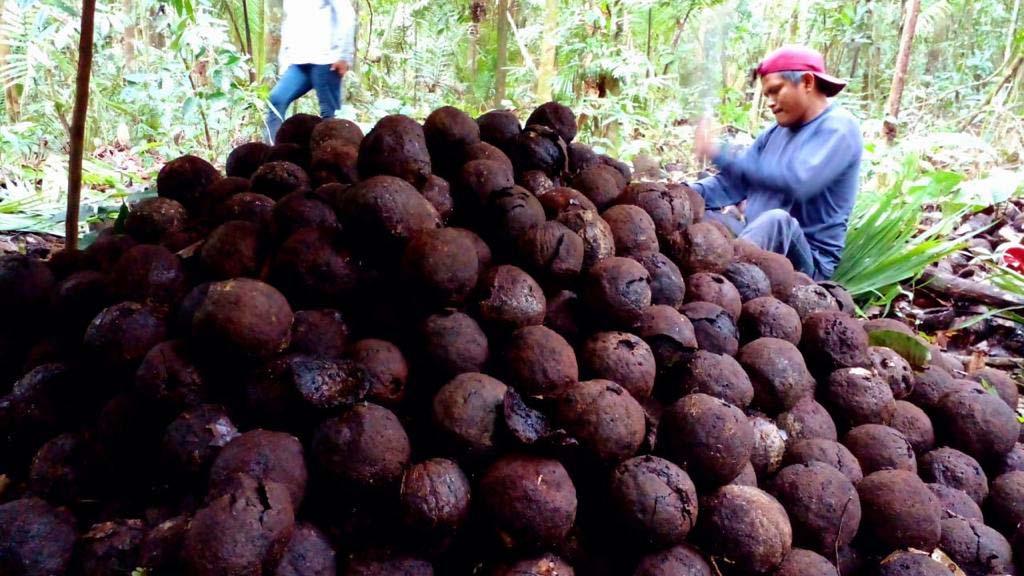 Governo de Rondônia estabelece ponto facultativo e altera horários dos serviços públicos, no período de Carnaval