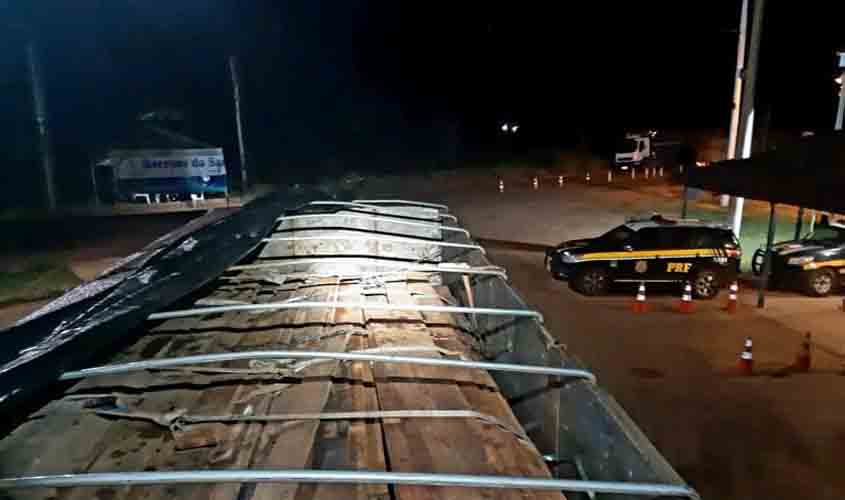 PRF intensifica enfrentamento aos crimes ambientais