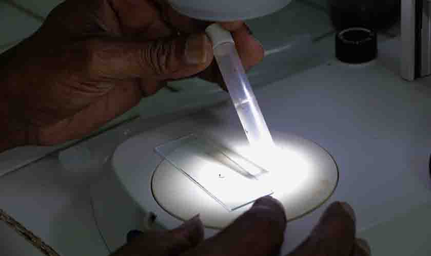 Semusa reforça os cuidados contra mosquito da dengue