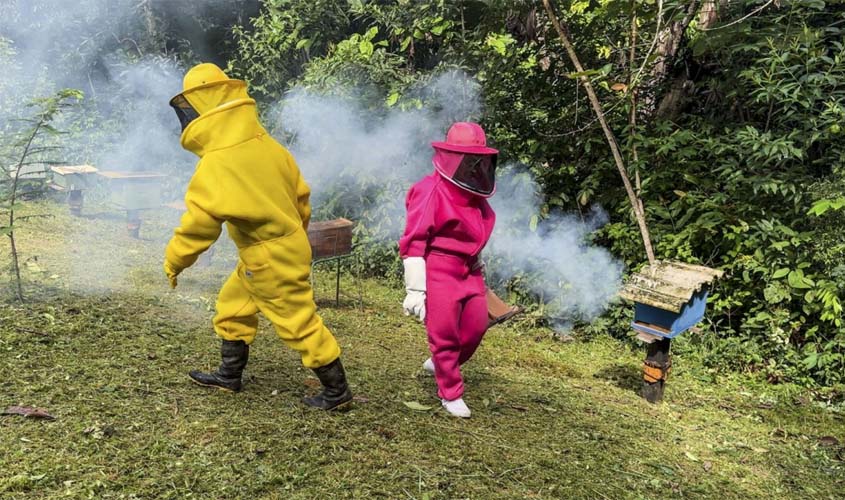 Dia Nacional do Mel reforça apicultura de Porto Velho