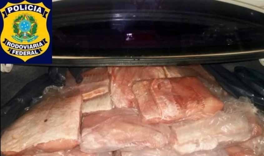 PRF apreende 193,5 kg de peixe transportado irregularmente