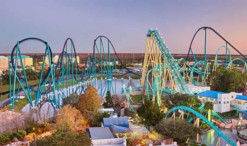 SeaWorld Orlando é um paraíso aquático de animais oceânicos