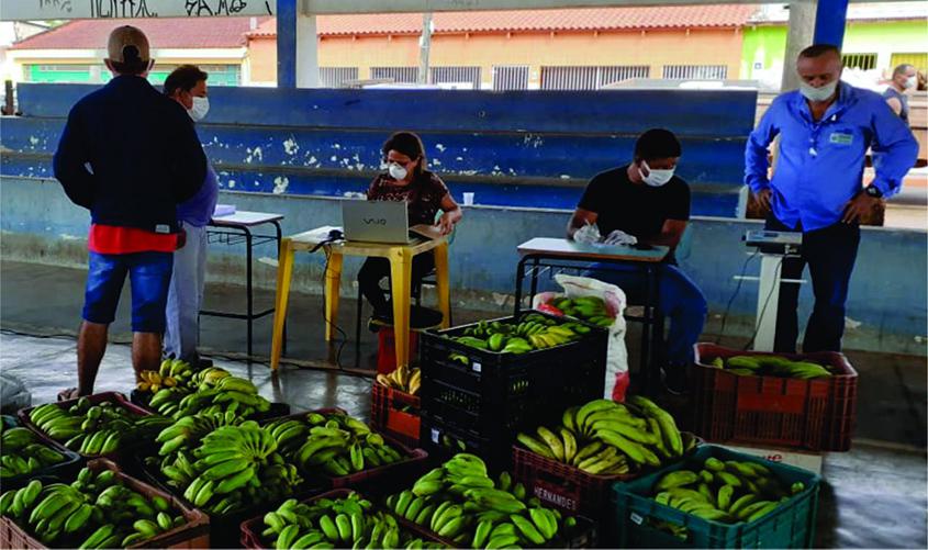 Governo mantém compra de alimentos do PAA