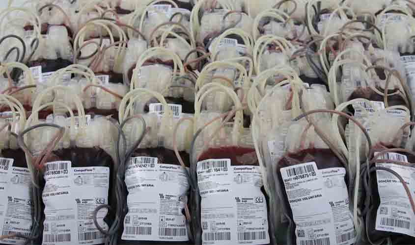 Dia Mundial da Hemofilia: condição genética dificulta coagulação