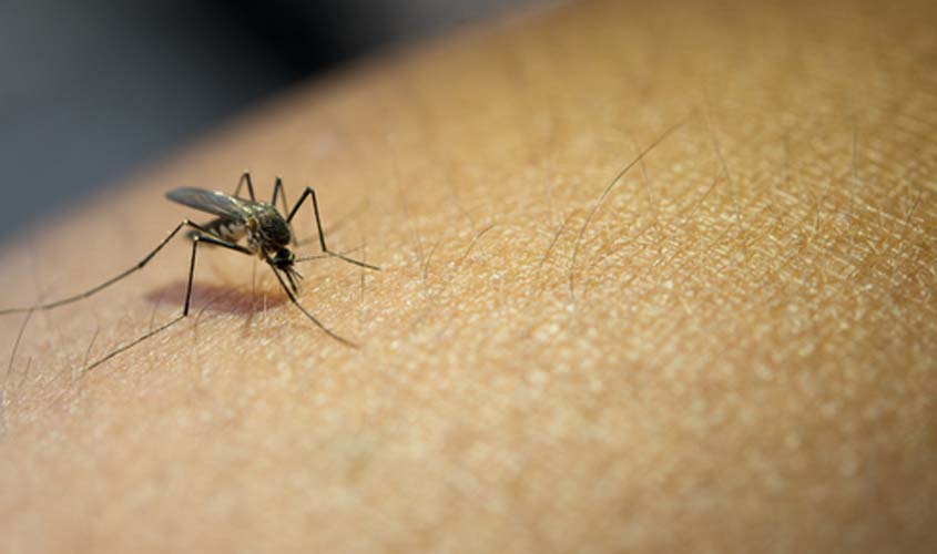 MINUTO DA SAÚDE: uso de repelentes contra o mosquito da dengue