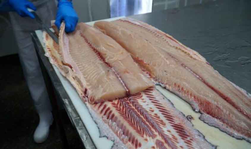 Ipem orienta população sobre cuidados na compra de pescados e ovos de Páscoa