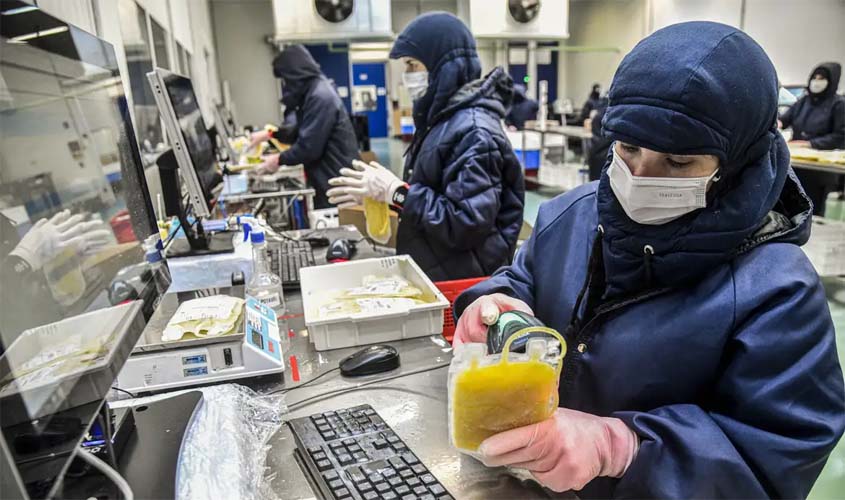 Dia Mundial da Hemofilia reforça importância do diagnóstico