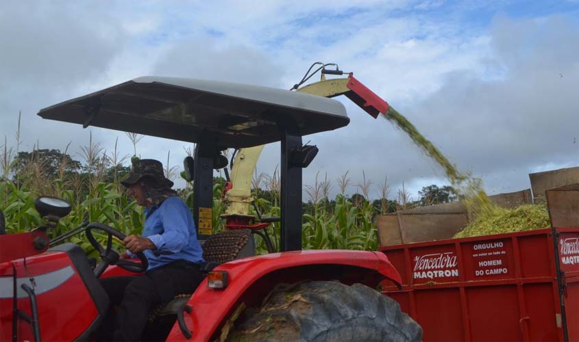 Ensilagem de milho e despensas rurais estão preparadas para o verão em Porto Velho