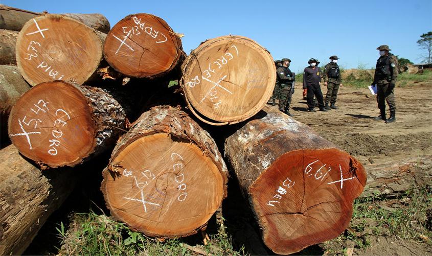 Operação Verde Brasil 2 fiscaliza indícios de irregularidades em madeireiras na região de Buritis