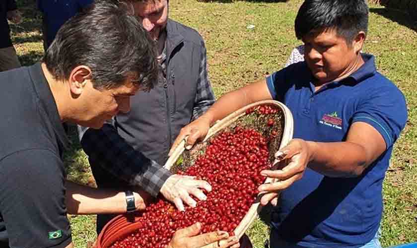 Robustas Amazônicos Finos: quem semeia boas práticas, colhe qualidade