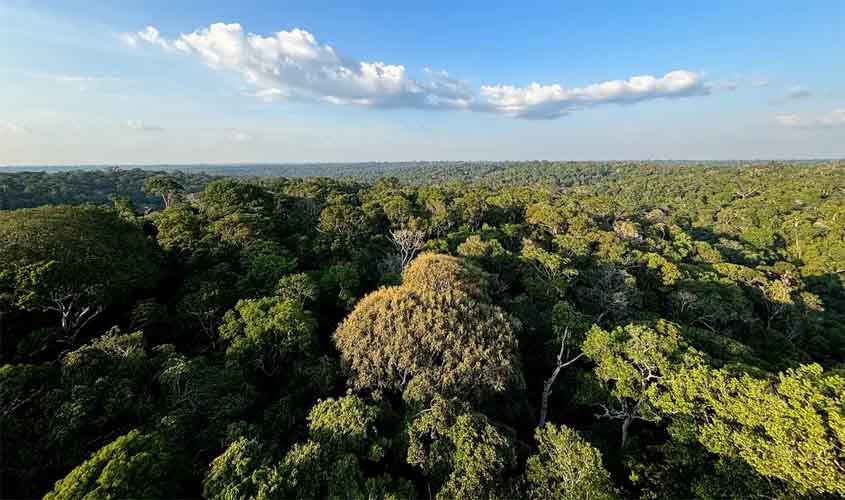 Aprovado na Câmara, entenda o que está em jogo com o novo marco do licenciamento ambiental