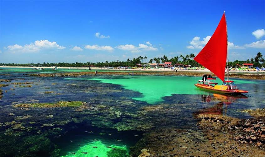 Companhia surpreende e lança promoção de passagens aéreas de ida e volta por apenas R$ 426 nos voos de Porto Velho