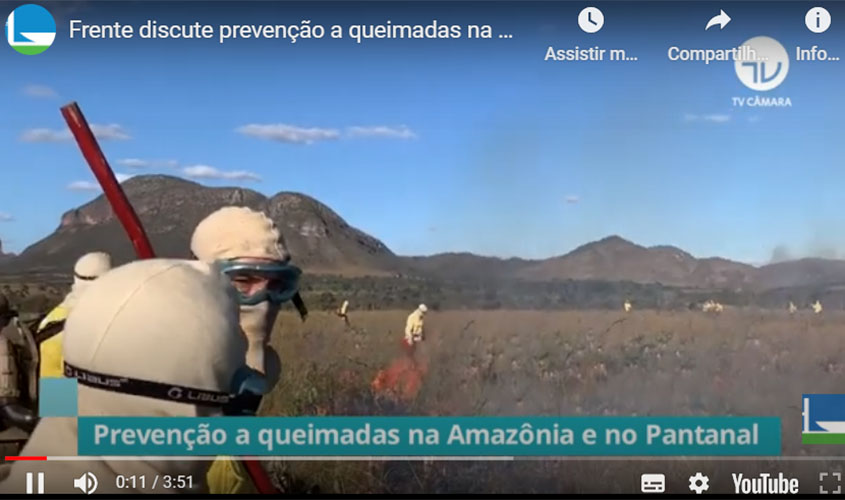 Cientistas e deputados sugerem medidas emergenciais e preventivas para o combate aos incêndios florestais  
