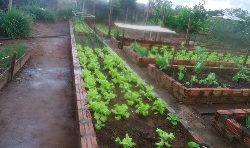 Kits de merenda escolar serão distribuídos para mais de 59 mil alunos da rede estadual de ensino