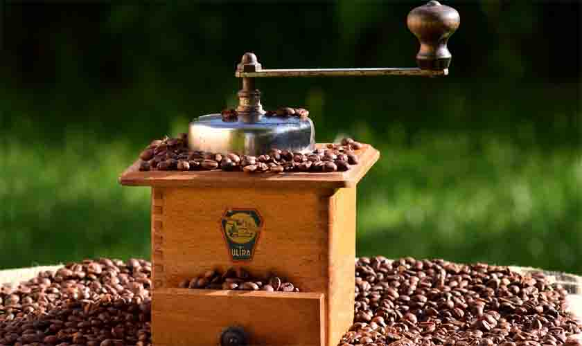 Museu do Café, em Santos, é referência da história do grão no Brasil