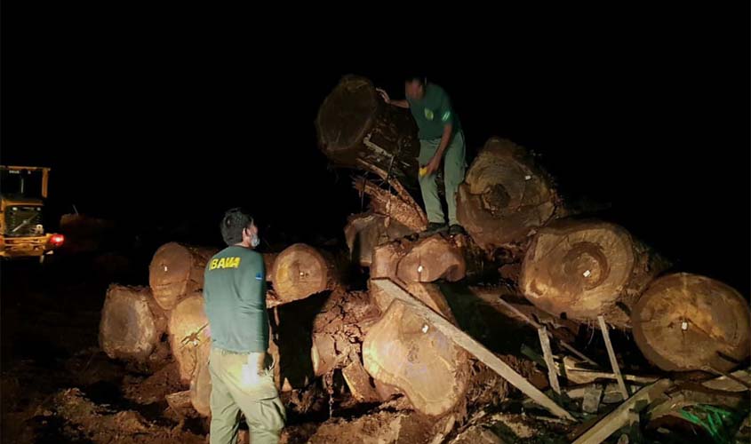 Três são presos e multas chegam a R$ 1 milhão em operação contra exploração ilegal de madeira na divisa de RO e MT
