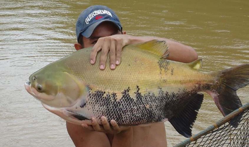 Atração de investimento e fomento à exportação teve avanço na gestão do coronel Marcos Rocha