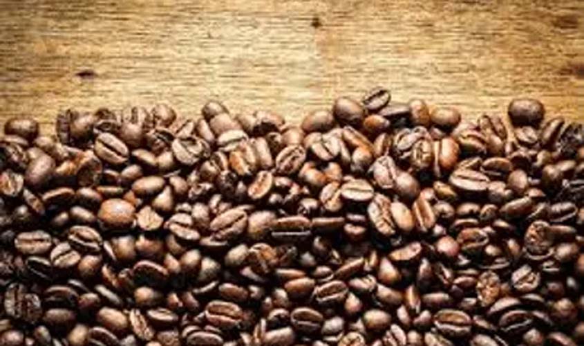 Café hoje: confira as cotações para esta sexta-feira (17)