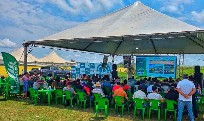 Governo de RO impulsiona pecuária leiteira com ações sustentáveis