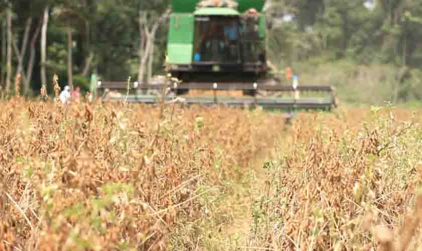 Potencialidades do agronegócio de Rondônia vão ser apresentadas no Fórum Estadual de Prefeitos e Vereadores nesta quarta-feira, 17