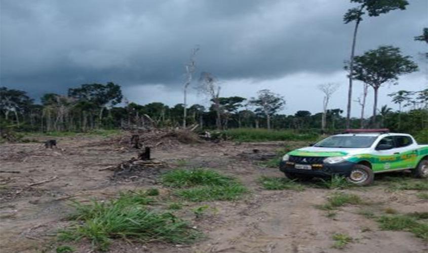Batalhão Ambiental localiza área desmatada dentro de reserva