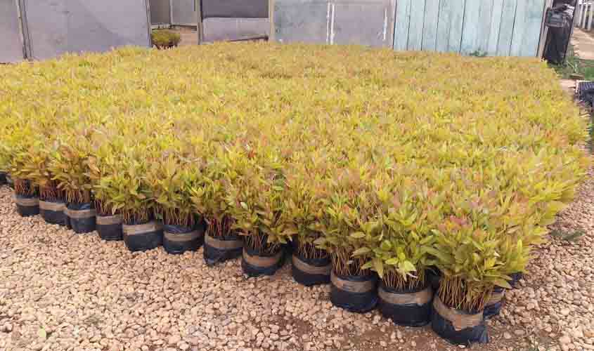 Governo presta atendimento à produtora leiteira com assistência técnica do Proleite