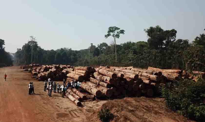 Período de restrição da extração de madeira dos projetos de manejo sustentável vai de janeiro até final de março de 2022