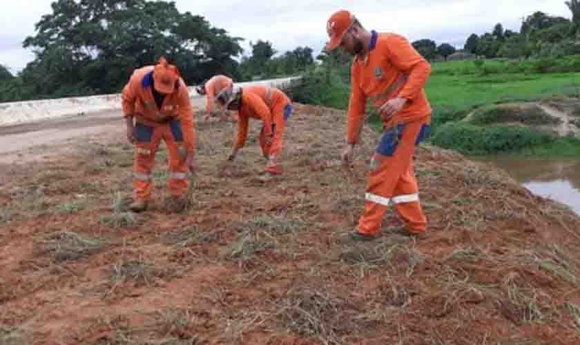 Capim Quicuio é plantado nos aterros em rodovias da região entre Ouro Preto do Oeste e Vale do Paraíso para conter erosão