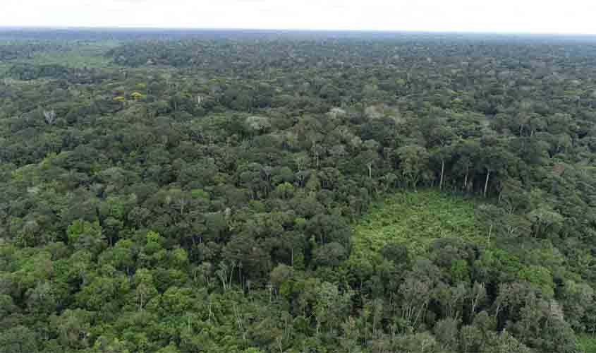 MP requer inconstitucionalidade de lei que alterou sistema de governança climática e gestão de recursos do mercado de carbono em Rondônia