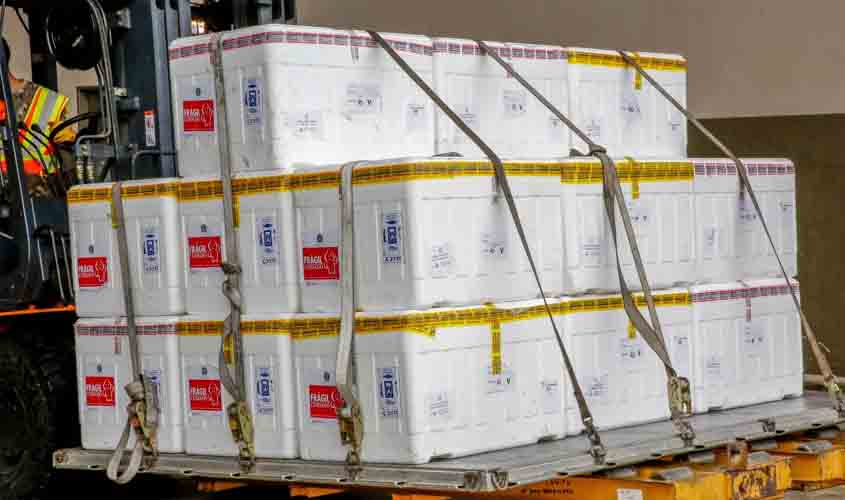 Ministério da Saúde projeta nova remessa de vacinas contra a Covid-19 para Rondônia, a partir do dia 23