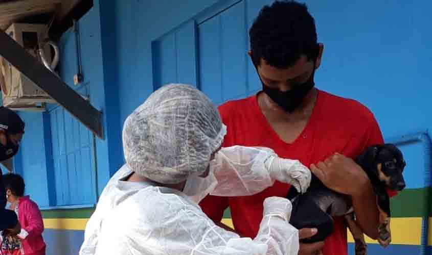 Centro de Zoonoses continua vacinando durante a pandemia