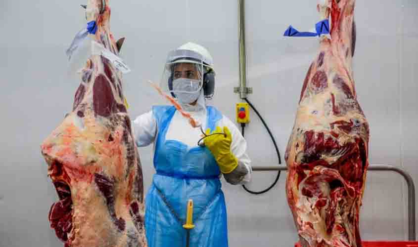 Plataforma Geração Emprego do governo de RO apresenta mais de 2 mil vagas de emprego com destaque ao setor frigorífico