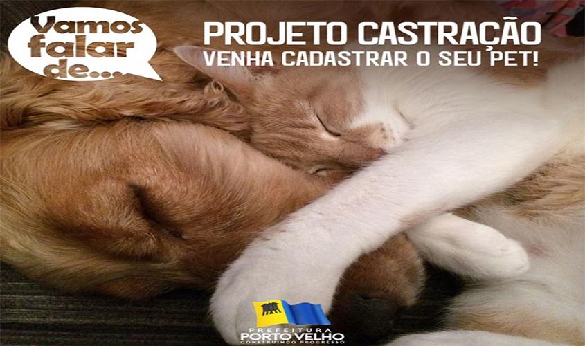 Cadastro para castração de animais será somente por telefone a partir desta quarta-feira