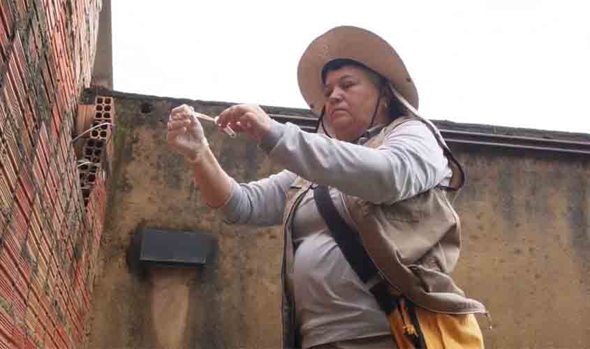 Primeiro LIRAa do ano aponta médio risco de infestação do mosquito Aedes aegypti em Porto Velho