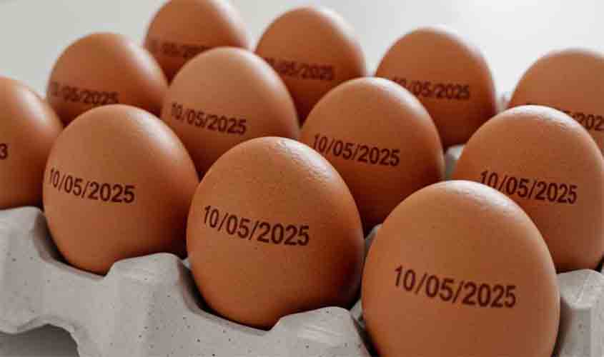 País tem recorde na produção de ovos, abate de bovinos, frango e porco