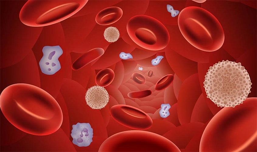 Covid-19: especialistas afastam risco de faltar remédio para hemofilia