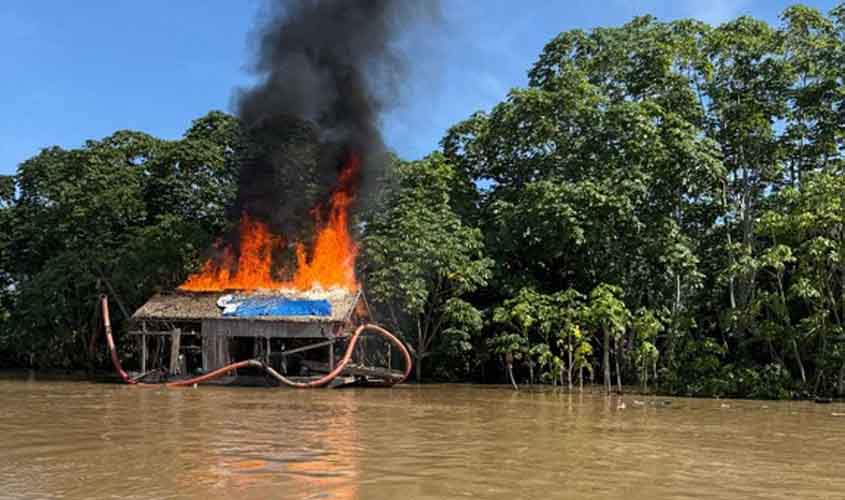 PF e Ibama combatem crimes ambientais em RO