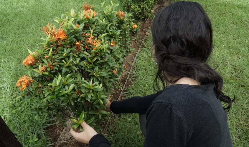 Agevisa capacita sobre acidentes com animais peçonhentos em 22 de abril